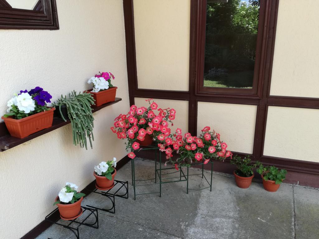 Stara Breza 1 Rooms Palić Esterno foto